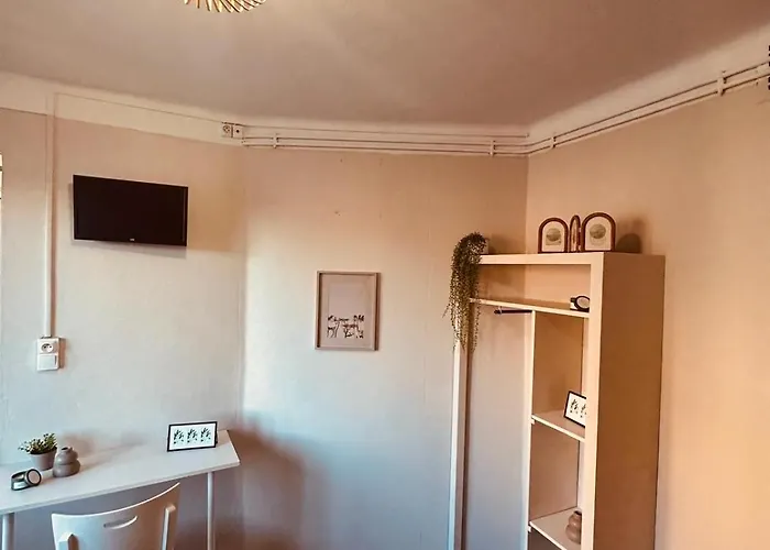 阿那托勒酒店 *